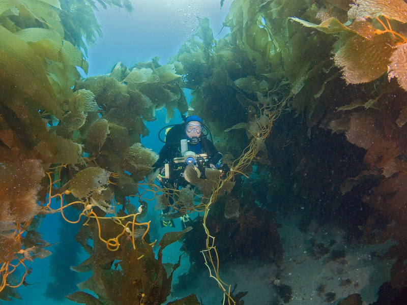 Wow, Coba Klik!!! 7 Tempat Diving Ini Bakalan Bikin Kamu Meleleh Dan Tercengang