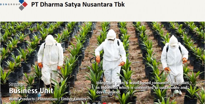 tebar-right-issue-168-juta-lembar-saham-laju-saham-dsng-rawan-koreksi-teknikal