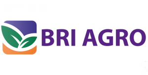 BRI Agro Right Issue
