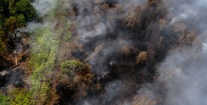 KEBAKARAN HUTAN SUMATER ANCAM BISNIS SMAR