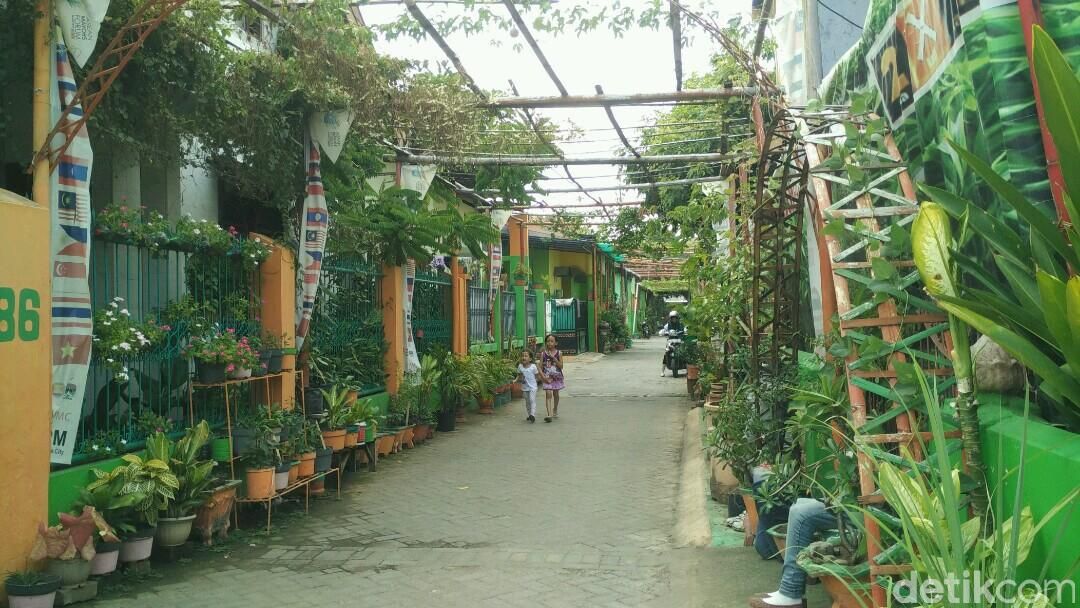 Cantiknya Warna Warni "Lorong Garden" di Makassar