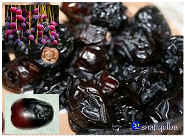 **Khasiat Kurma Azwah Menyembuhkan Racun & Penyakit yg Di Sebabkan Oleh Sihir/Jinn **