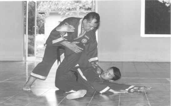 - 5 Aliran Pencak Silat Yang Paling Disegani -