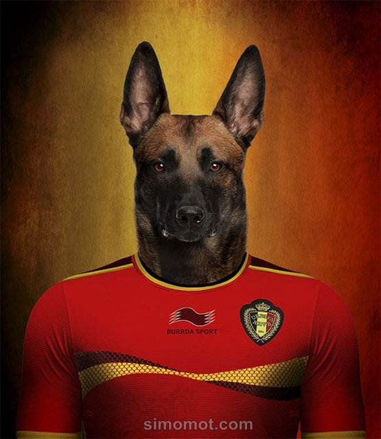 Yuk Intip,Kostum Peserta Piala Dunia 2014 Tapi Yang Dipakai Anjing (PICT++)