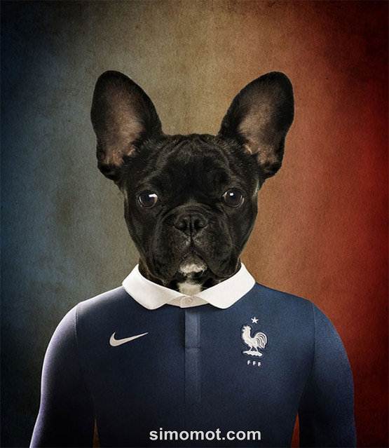 Yuk Intip,Kostum Peserta Piala Dunia 2014 Tapi Yang Dipakai Anjing (PICT++)