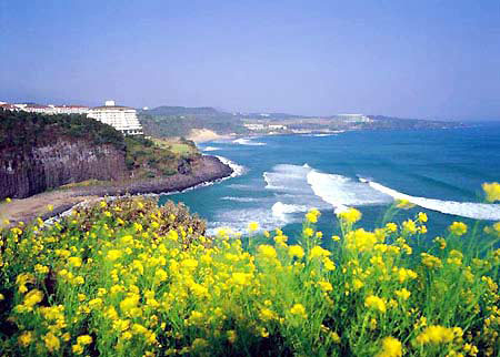 Exotisme Jeju Island, Korea Selatan