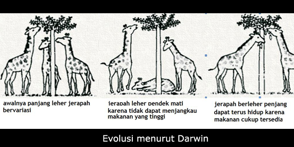 7 Teori Sains yang Mengubah Dunia