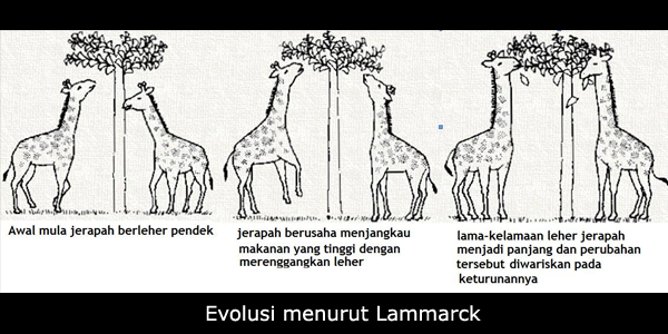 7 Teori Sains yang Mengubah Dunia