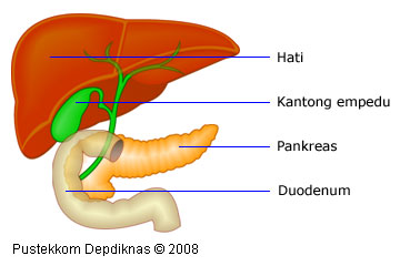 9 Manfaat Tidur Miring Ke Kanan