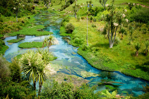 Sungai Te Waihou yang Menyegarkan Mata