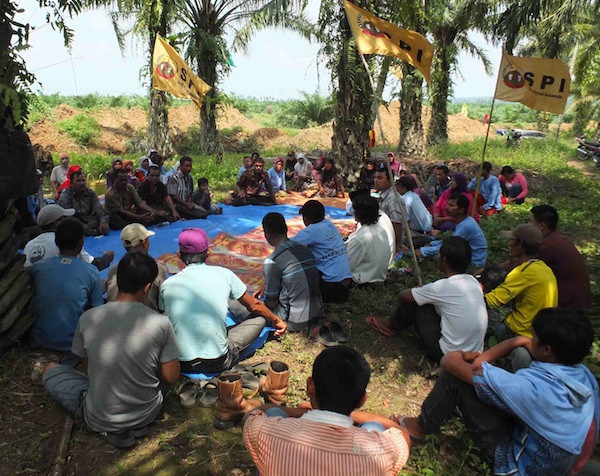 Adaptasi Para Petani Dalam Pandemi