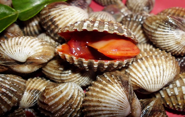 4 makanan sehari &ndash; hari yang bisa mematikan