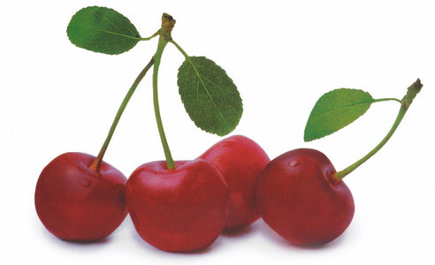 pake-mobil-apa-agan-pertama-kali-belajar-nyopir-mobil