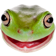 post-image