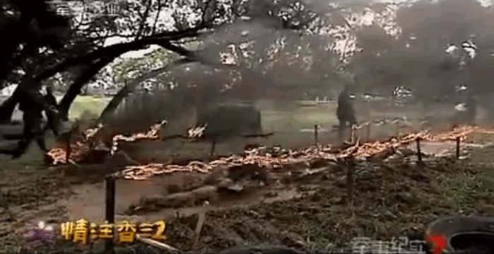 China Special Forces Training Regimen