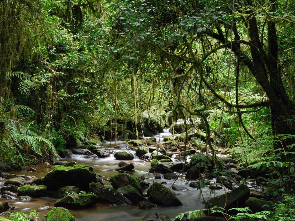 Tempat yang Indah Ini Akan Hilang Tak Lama Lagi