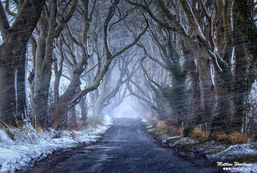 Indah dan Berhantu, Terowongan Pohon Lokasi Syuting Game of Thrones