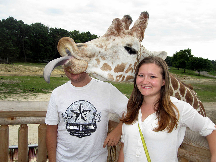 20 FUNNY ANIMAL PHOTOBOMB VERSI ON CLINIC