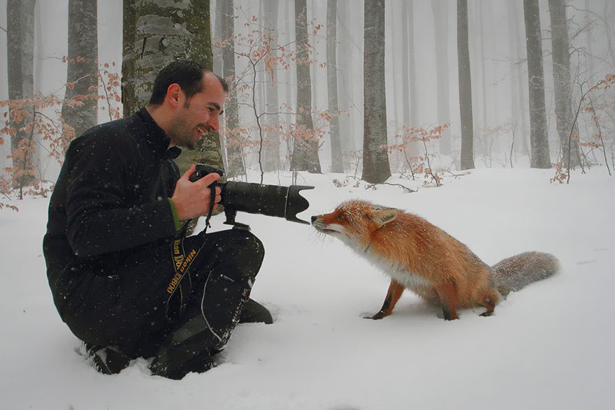 Begini Potret Keseruan Menjadi Wildlife Photographer!