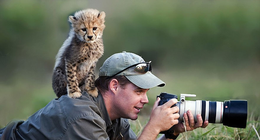 Begini Potret Keseruan Menjadi Wildlife Photographer!