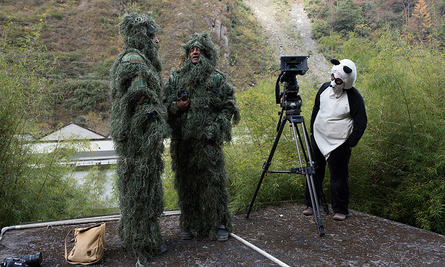 Begini Potret Keseruan Menjadi Wildlife Photographer!