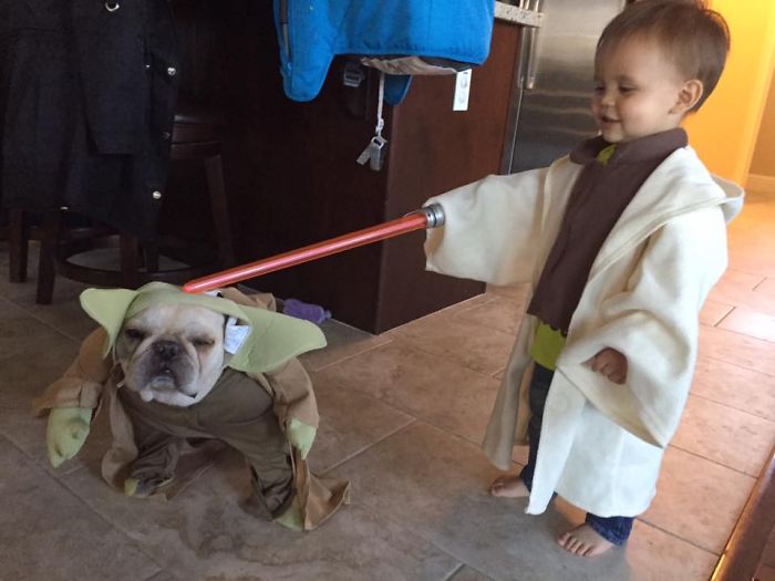 Duh, Lucunya Bayi-Bayi Ini Ketika Didandani Ala Star Wars
