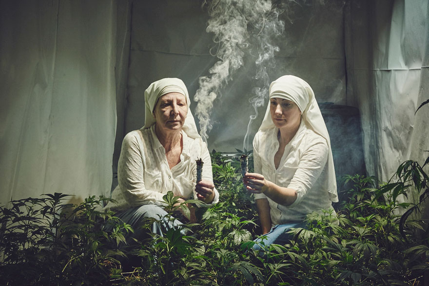 Biarawati ini Membudidayakan Ganja untuk Dijual, Bahkan Sampai Menentang Pejabat!