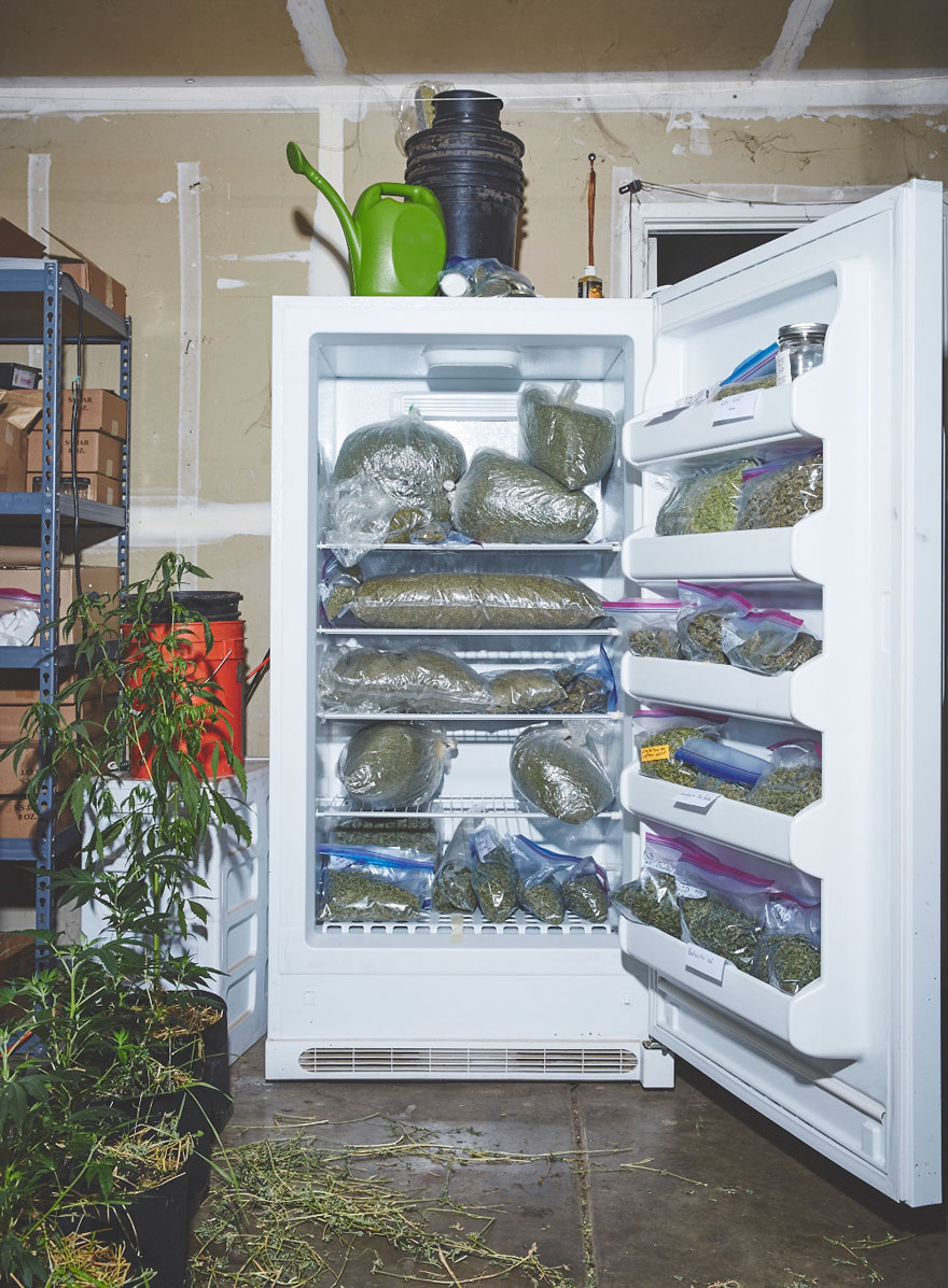 Biarawati ini Membudidayakan Ganja untuk Dijual, Bahkan Sampai Menentang Pejabat!