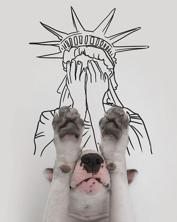 40 + illustrasi gambar ketika Donald Trump menjadi presiden
