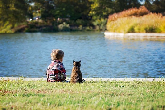 Foto-foto Kelakuan Para Kucing Yang Bikin Gemes, Ketawa Dan Geleng-geleng (14 Foto)