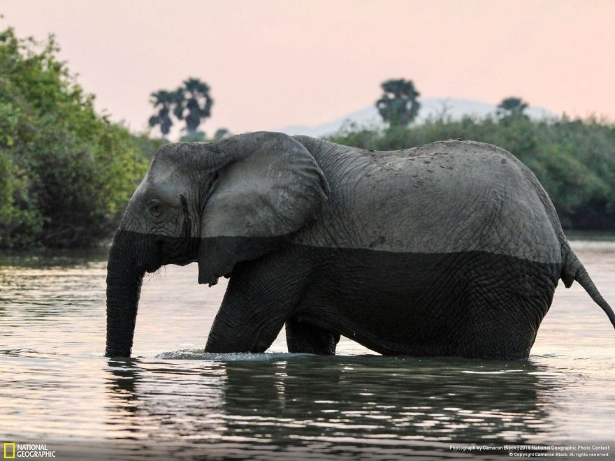 10 Foto-foto Paling Menakjubkan Dalam Kontes Foto National Geographic 2018