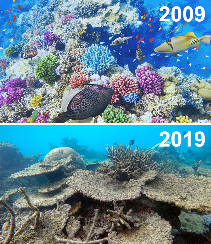 10YearChallenge Ini Bukannya Bikin Kalian Ketawa Tapi Malah Bikin Kalian Sedih 