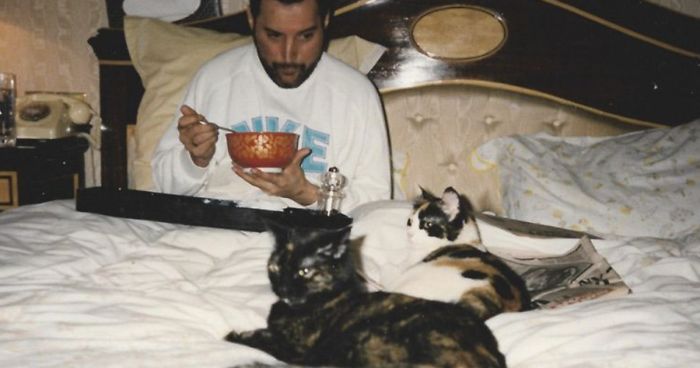 Freddie Mercury dan Romantismenya dengan Kucing