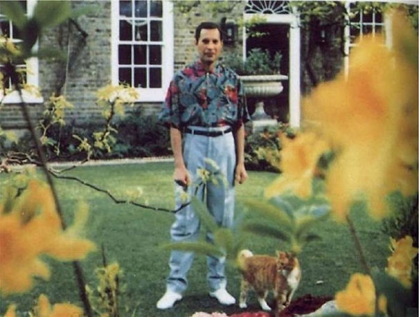 Freddie Mercury dan Romantismenya dengan Kucing