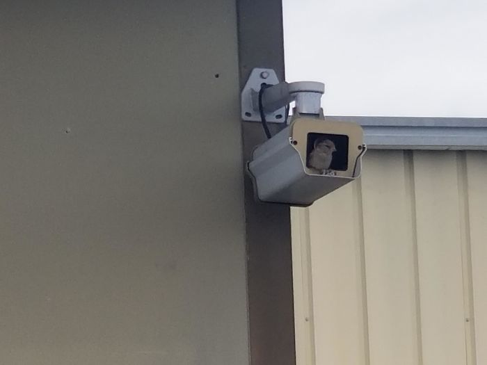 Ngakak, Potret Betapa Kocaknya Kekacauan Yang Harus di Hadapi Para IT Support.