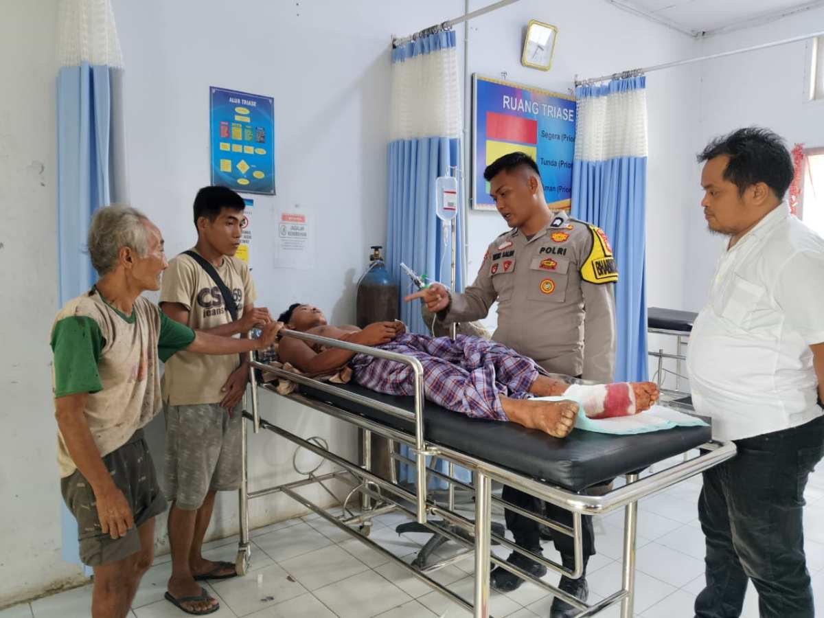 Diserang 3 Ekor Harimau di Hutan, Pria Ini Selamat Dari Maut, Berikut Kronologinya