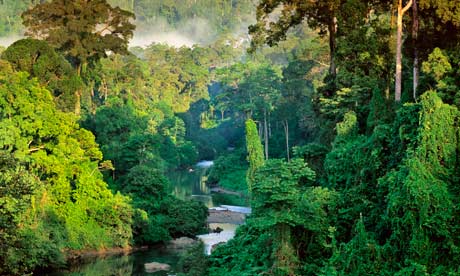 Mari Simak, 10 Fakta Pulau Kalimantan yang Mungkin Belum Agan Tahu