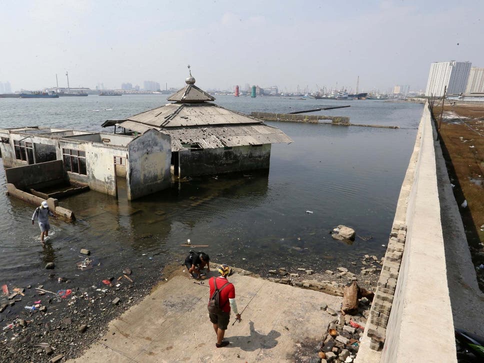 presidentgiant-sea-wall--must-be-built-quickly--to-stop-indonesian-capital-sinking