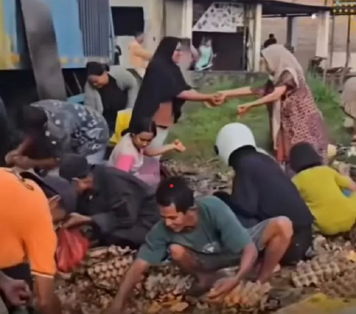 Pikap Muat Telur Alami Kecelakaan di Sumatera Utara, Warga Malah Menjarah Telurnya
