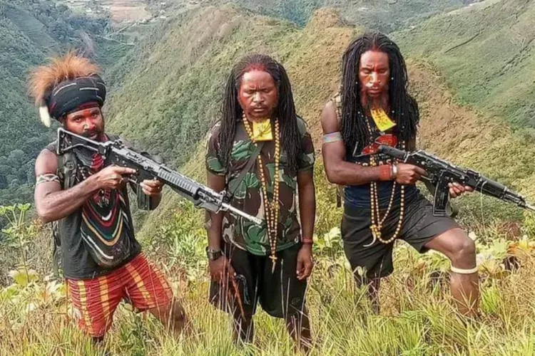 OPM TPNPB Perintahkan Tidak Ada Suster, Guru, Hingga Mantri yang Keliaran di Wilayah