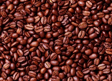 Inilah Festival untuk Pecinta Kopi Luwak