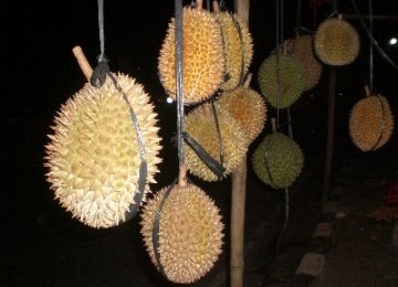 FESTIVAL DURIAN LOLONG - PEKALONGAN 