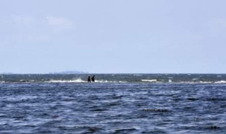 warning-bmkg-gelombang-setinggi-lima-meter-ancam-perairan-babel