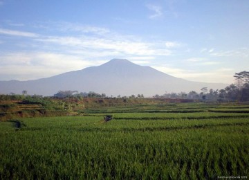 Gunung Slamet tertular Gunung Sinabung dan Kelud