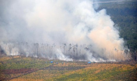 &#91;SELINGAN&#93; OKNUM TNI DIDUGA OTAK PERAMBAHAN CAGAR BIOSFER DI RIAU