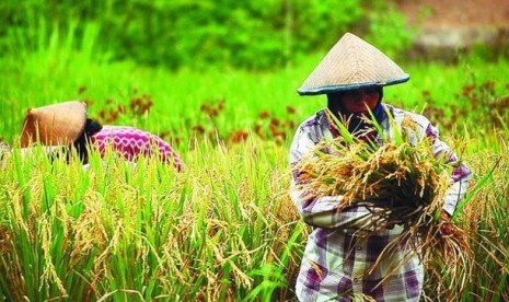 Indonesia Terancam Kehilangan 42 Persen Lahan Sawah