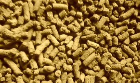 UNY Kembangkan Pellet Ikan Berbahan Usus Ayam