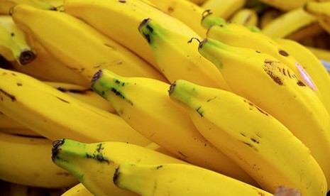 &#91;Program Nyata&#93; Dahlan akan Lepas Ekspor Perdana Pisang Subang ke Singapura 