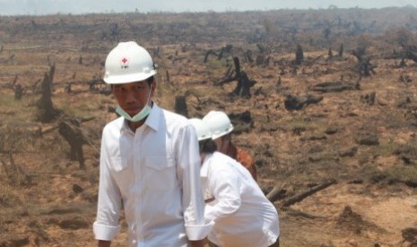 Atasi Kebakaran Lahan, Jokowi Minta Bangun Kanal