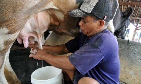 demi mendapatkan makanan dan tempat tinggal ibu ini rela payudaranya diremas remas 